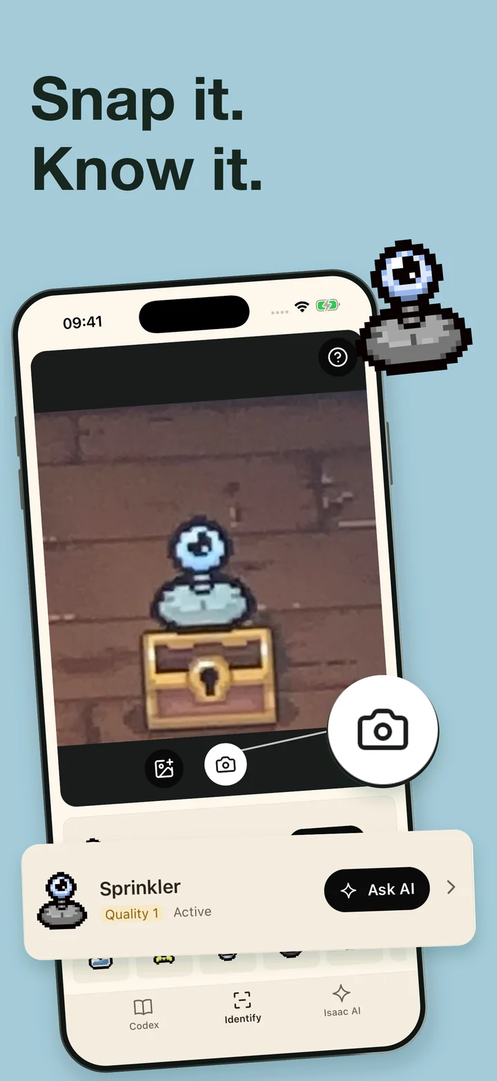 Item identification in Isaac Codex